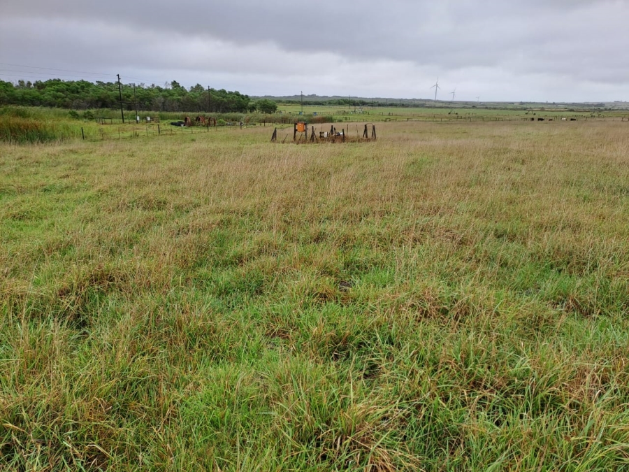 Commercial Property for Sale in St Francis Bay Rural Eastern Cape